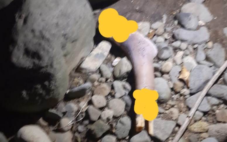 Penemuan potongan tubuh manusia berupa kaki di pinggir aliran sungai di Kelurahan Padangbesi, Kecamatan Lubukkilangan, Kota Padang, Rabu (30/4/2025). (Polsek Luki)