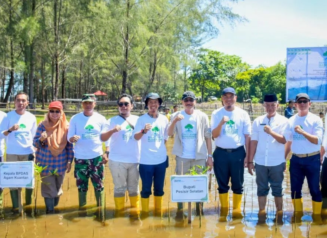 Aksi PT Bukit Asam tanam 9.000 bibit mangrove di Pantai Tan Sridano, Pesisir Selatan, Sumbar, Jumat (23/5/2025). (Foto: Humas)