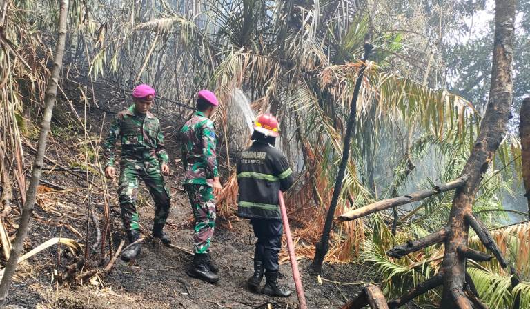 Petugas Dinas Damkar Kota Padang memadamkan api yang membakar lahan perbukitan di Bukit Putus, Kota Padang, Minggu siang (1/6/2025).