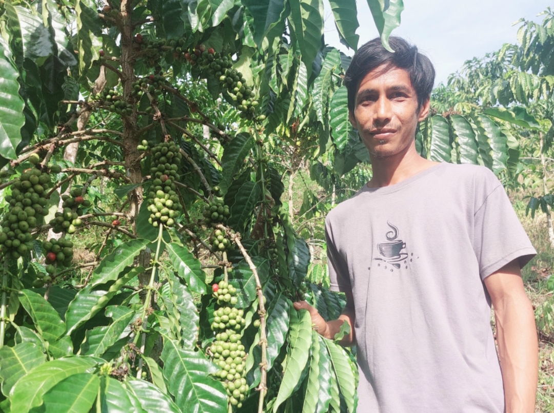 Beby Candra atau akrab disapa Abi, petani kopi robusta Sawahlunto yang sukses berkat dukungan PTBA. (Foto: Corcom)
