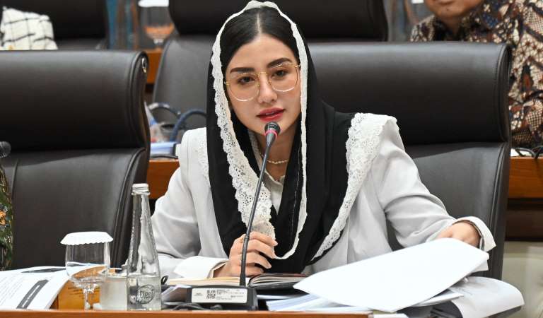 Anggota Komisi VII DPR RI Novita Hardini.