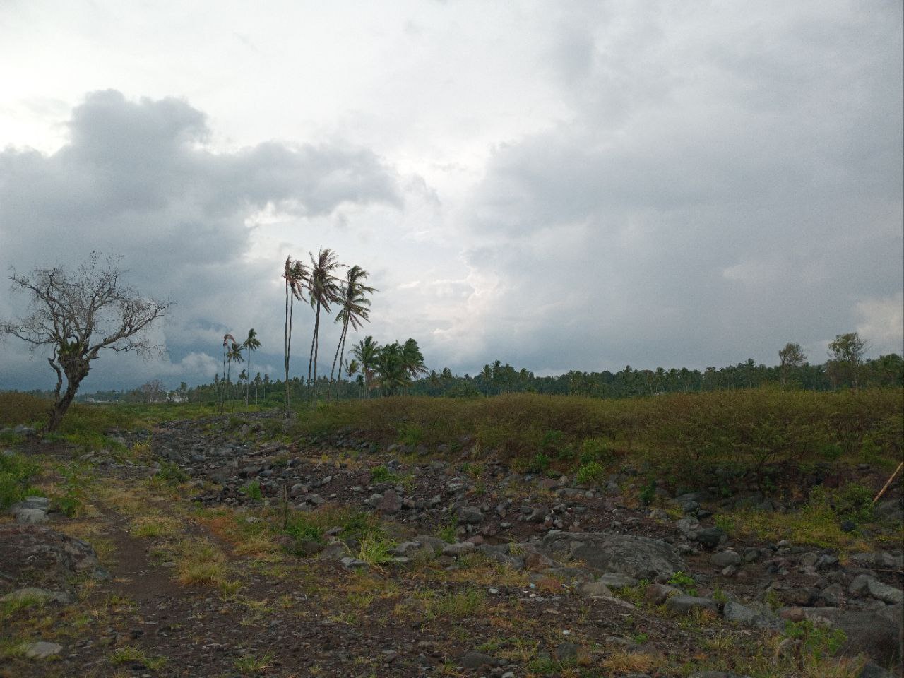 ANGIN SEGAR: Kondisi lahan pertanian di Nagari Lima Kaum, Kecamatan Lima Kaum, Tanah Datar yang masih tertutup material Galodo, Senin (9/6).(RIAN AFDOL/PADEK)