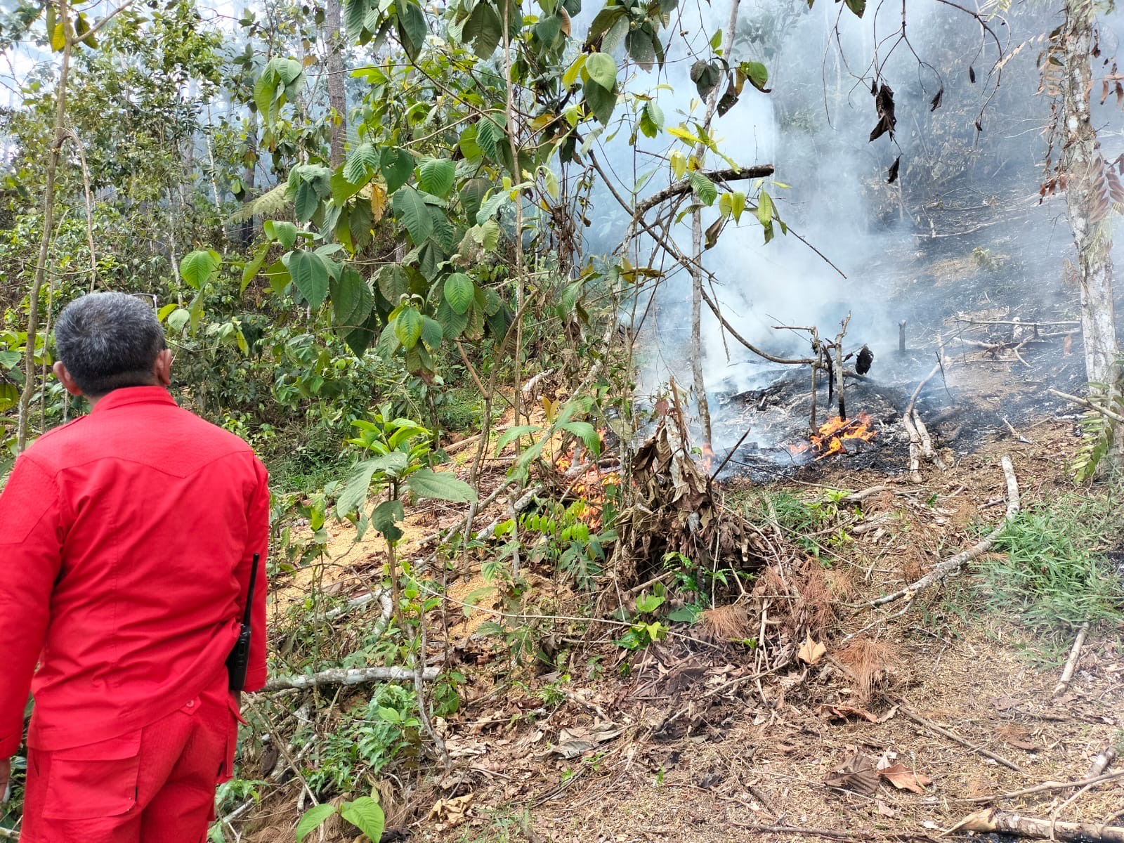 KERJA KERAS: Petugas BPBD dan Damkar berjibaku memadamkan kebakaran lahan di perbukitan Jorong Tanjuang Ateh, Harau, Minggu (8/6). (BPBD LIMAPULUH KOTA UNTUK PADEK)