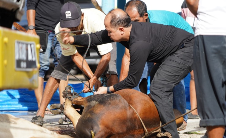 General Manager PLN UID Sumbar, Ajrun Karim, terlihat terlibat aktif menyembelih hewan kurban, Senin (9/6/2025).