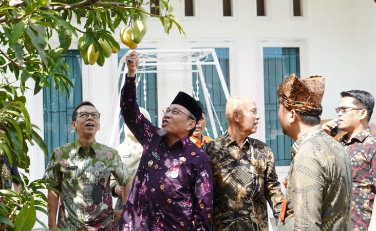 Wawako Padang Maigus Nasir takjub melihat ranumnya buah mangga di Kelurahan Pisang, Kecamatan Pauh, Kamis (12/6/2025).
