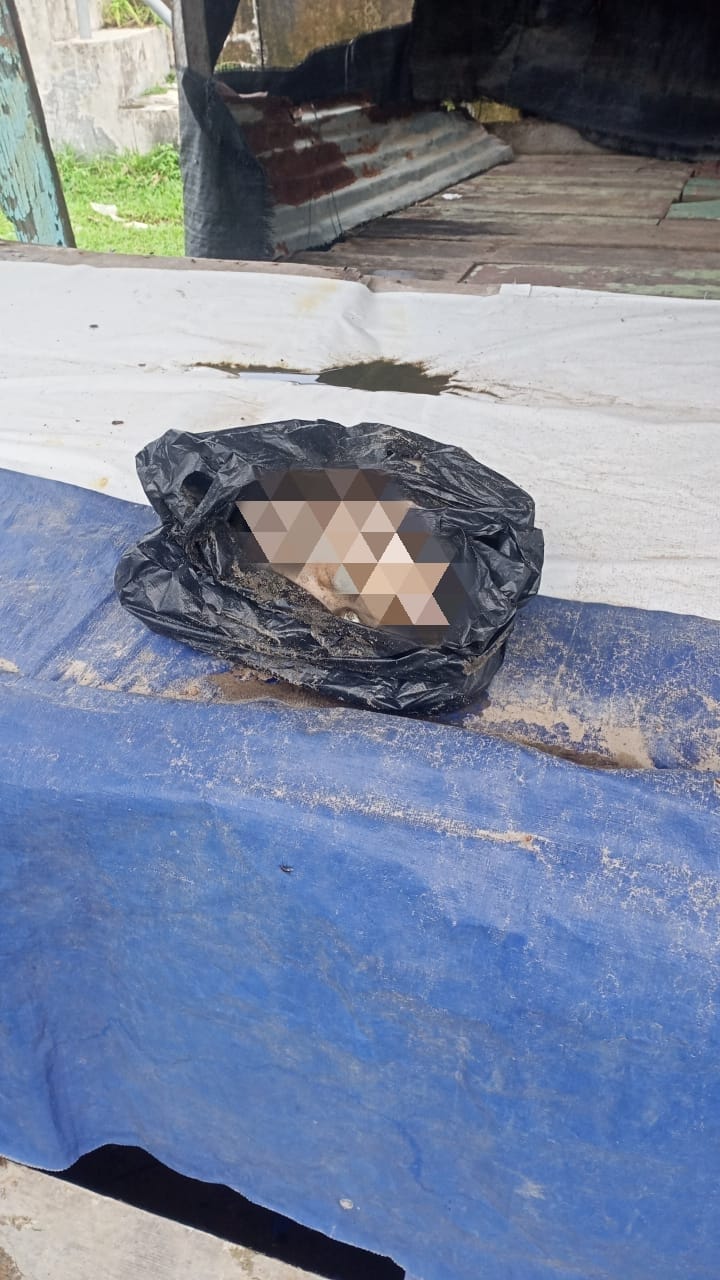 Potongan kepala manusia ditemukan di Pasar Ikan Muaroanai, Kota Padang, Rabu (18/6/2025).