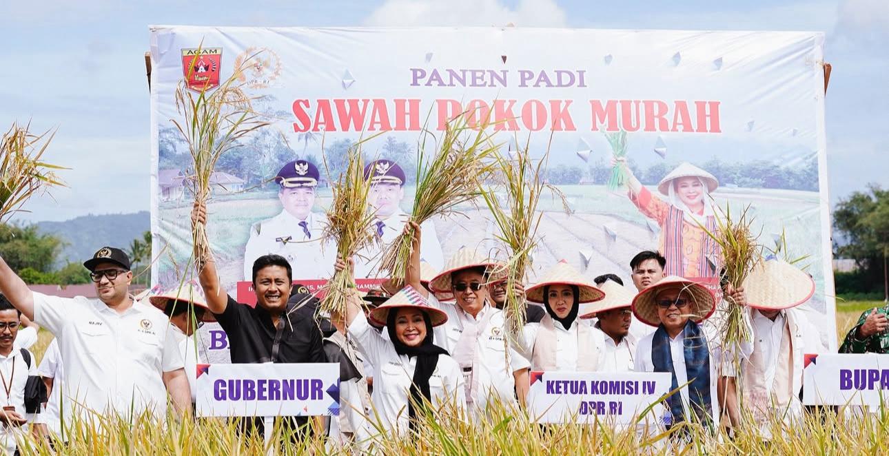 Titiek Soeharto hadiri panen raya Sawah Pokok Murah di Agam, puji inovasi efisien tingkatkan hasil tani, minta Kementan segera tindak lanjuti.