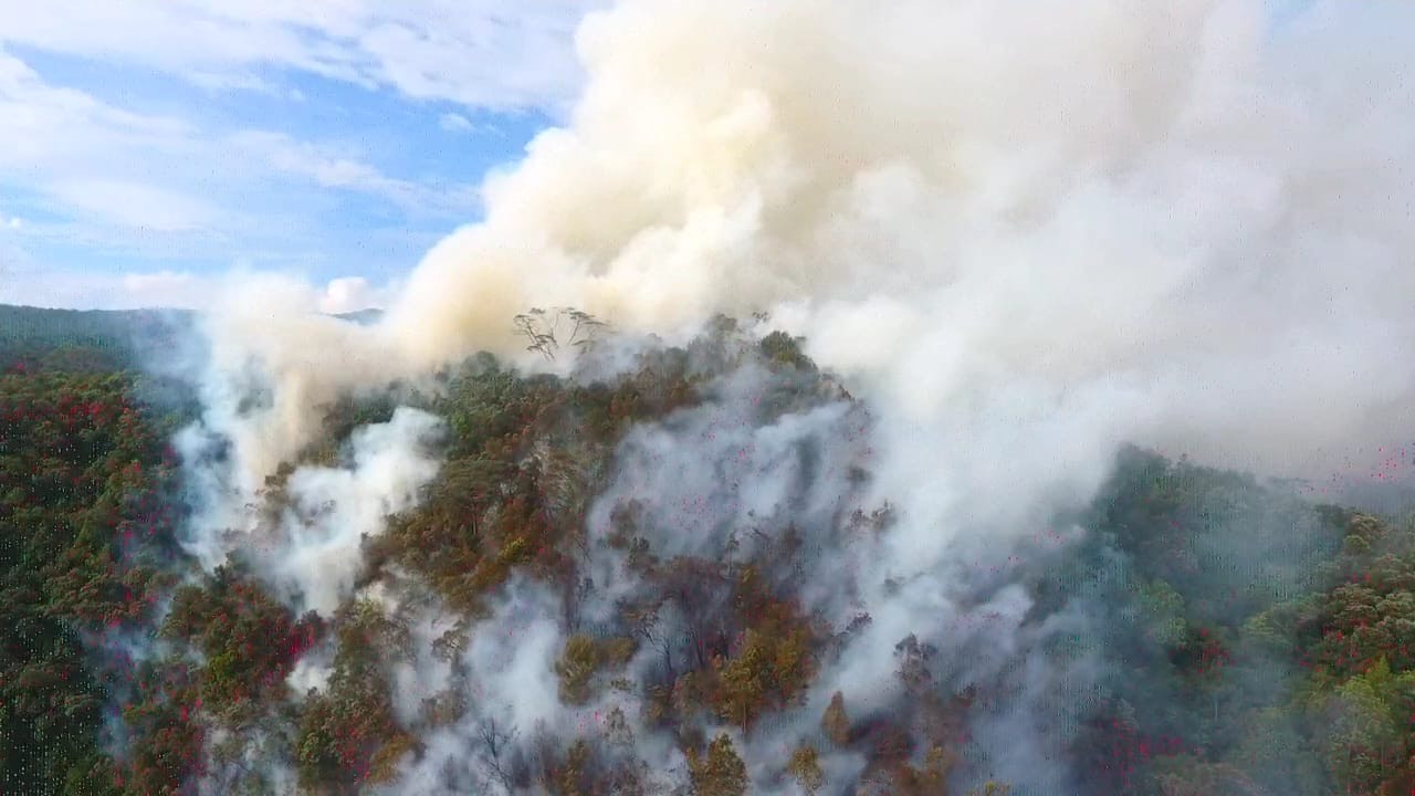 MASYARAKAT DIMINTA BIJAK: Kebakaran hutan dan lahan terjadi di tebing Nagari Tarantang, Harau, Kabupaten Limapuluh Kota pada Senin (23/6) sekitar pukul 14.00 WIB.(BPBD KABUPATEN LIMAPULUH KOTA)
