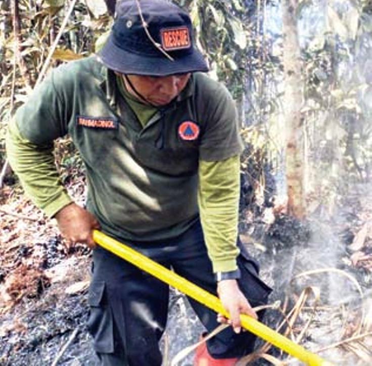 KERJA KERAS: Kalaksa BPBD Kabupaten Limapuluh Kota Rahmadinol turun tangan memadamkan api secara manual di Nagari Tarantang, Kecamatan Harau, Kabupaten Limapuluh Kota, Selasa (24/6).(DOKUMENTASI BPBD)
