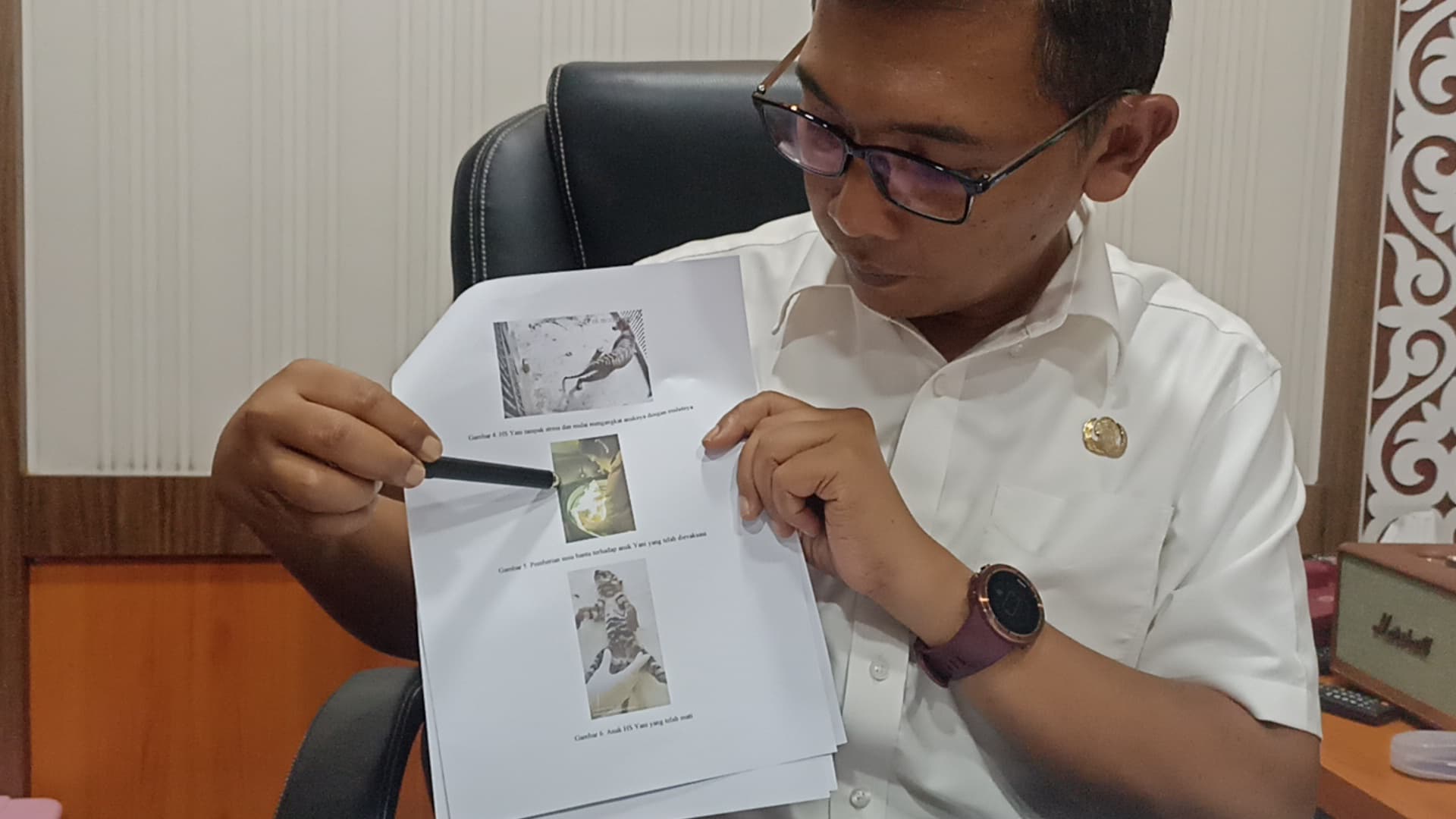 JADI PERHATIAN: Kadis Pariwisata Kota Bukittinggi, Rofie Hendria menunjukkan foto Yani, induk Harimau Sumatera di TMSBK Bukittinggi yang kehilangan anak ketiganya.(DOK. PARIWISATA BUKITTINGGI)