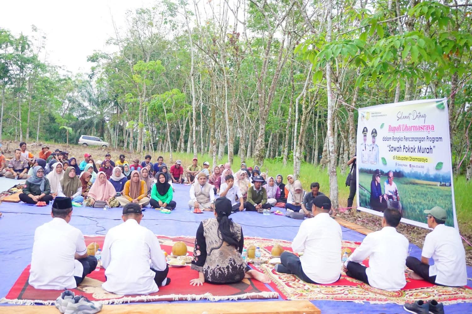PELUNCURAN: Bupati Dharmasraya Annisa Suci Ramadhani bersama petani saat peluncuran program Sawah Pokok Murah di Nagari Gunung Medan, Kecamatan Sitiung. (2/7).(PEMKAB DHARMASRAYA UNTUK PADEK)