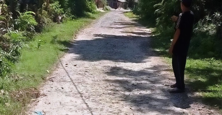 Kondisi jalan di Korong Palakgadang, Nagari Mangopoh Palak Gadang, yang tampak rusak parah. (IMAM Z FOR PADEK)