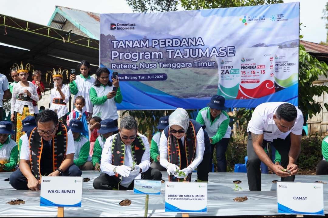 Kolaborasi Pupuk Indonesia dan Pemda Manggarai mulai program tanam sayur demi cegah stunting dan tingkatkan ketahanan pangan. (Foto: Corcom)