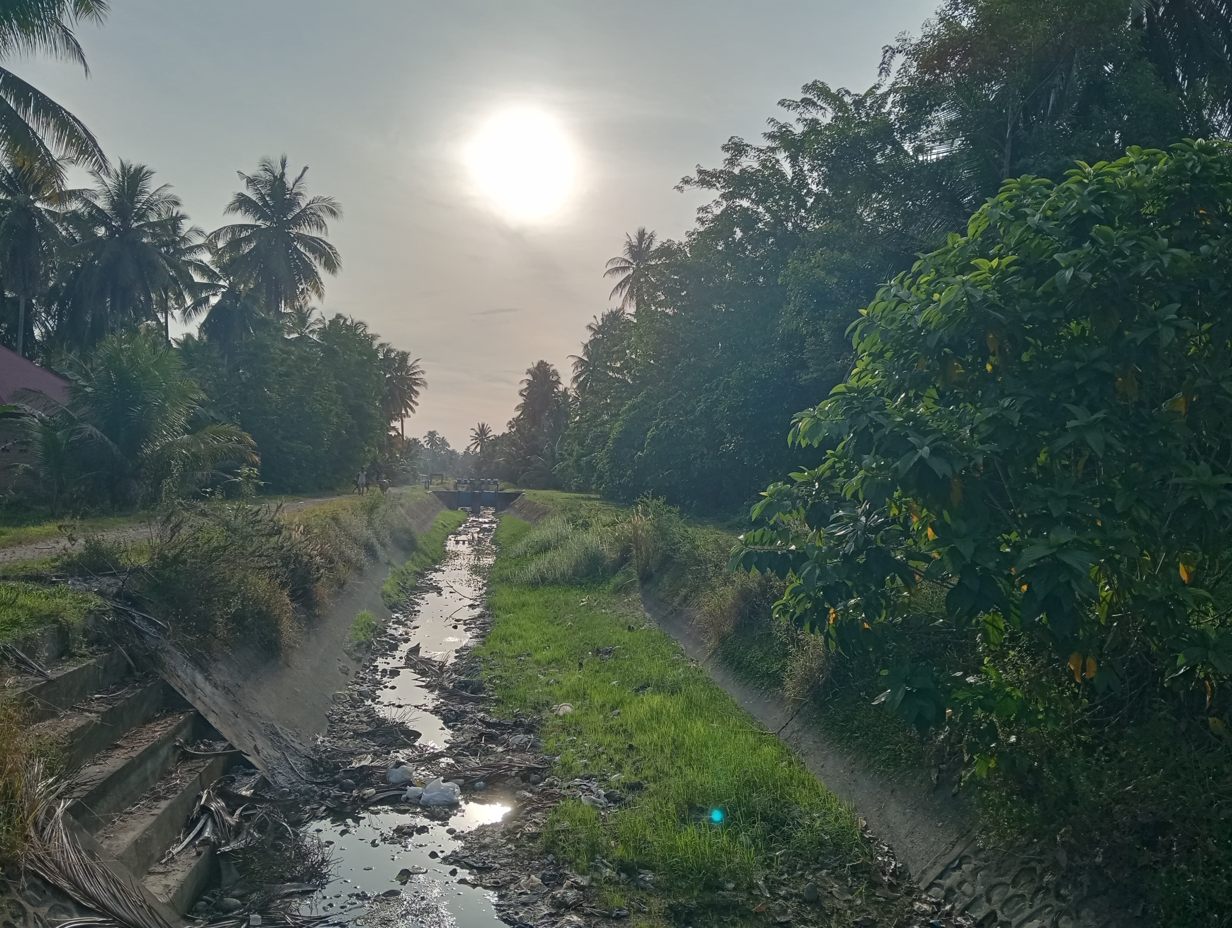 Ilustrasi.(ARIS PRIMA G/PADEK)