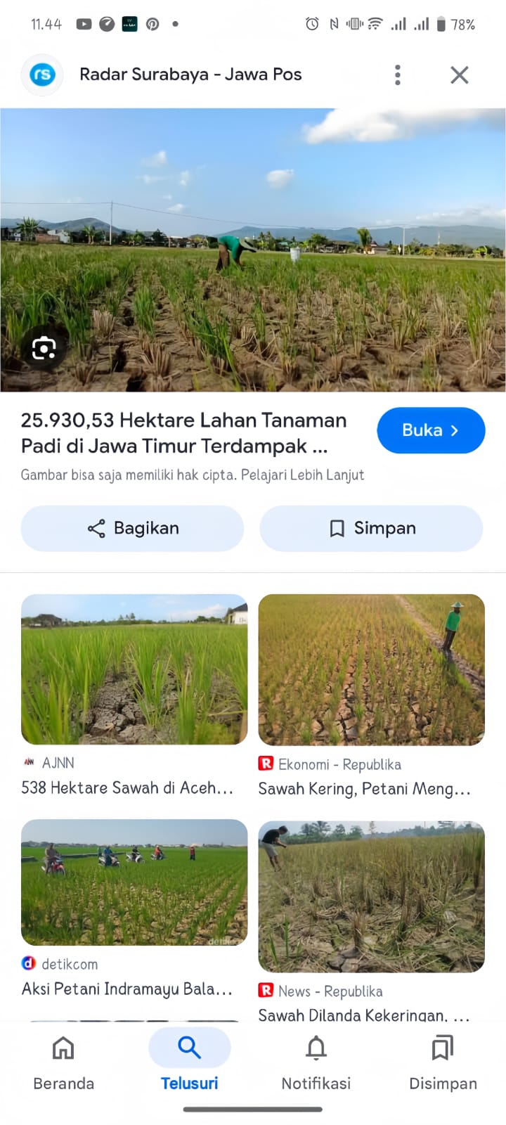 Ilustrasi Sawah Kekeringan. (Jawapos)