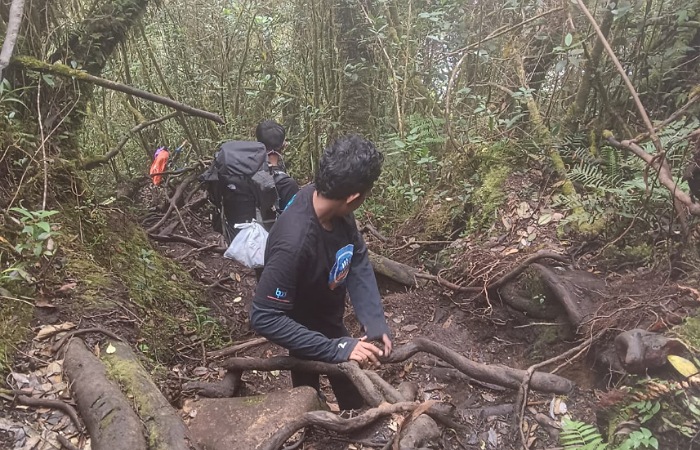 Pendakian Gunung Sago 2.271 Mdpl via Sibaladuang, jalur ekstrem bergelantungan di akar pohon. Tantangan fisik, hutan lestari, dan kisah perjuangan menuju puncak.