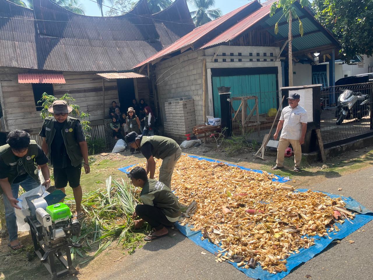Pengolahan potensi pakan lokal via fermentasi dilakukan Prodi Peternakan Departemen Agroindustri UNP di Nagari Palaluar, Kecamatan Koto VII, Sijunjung, baru-baru ini.