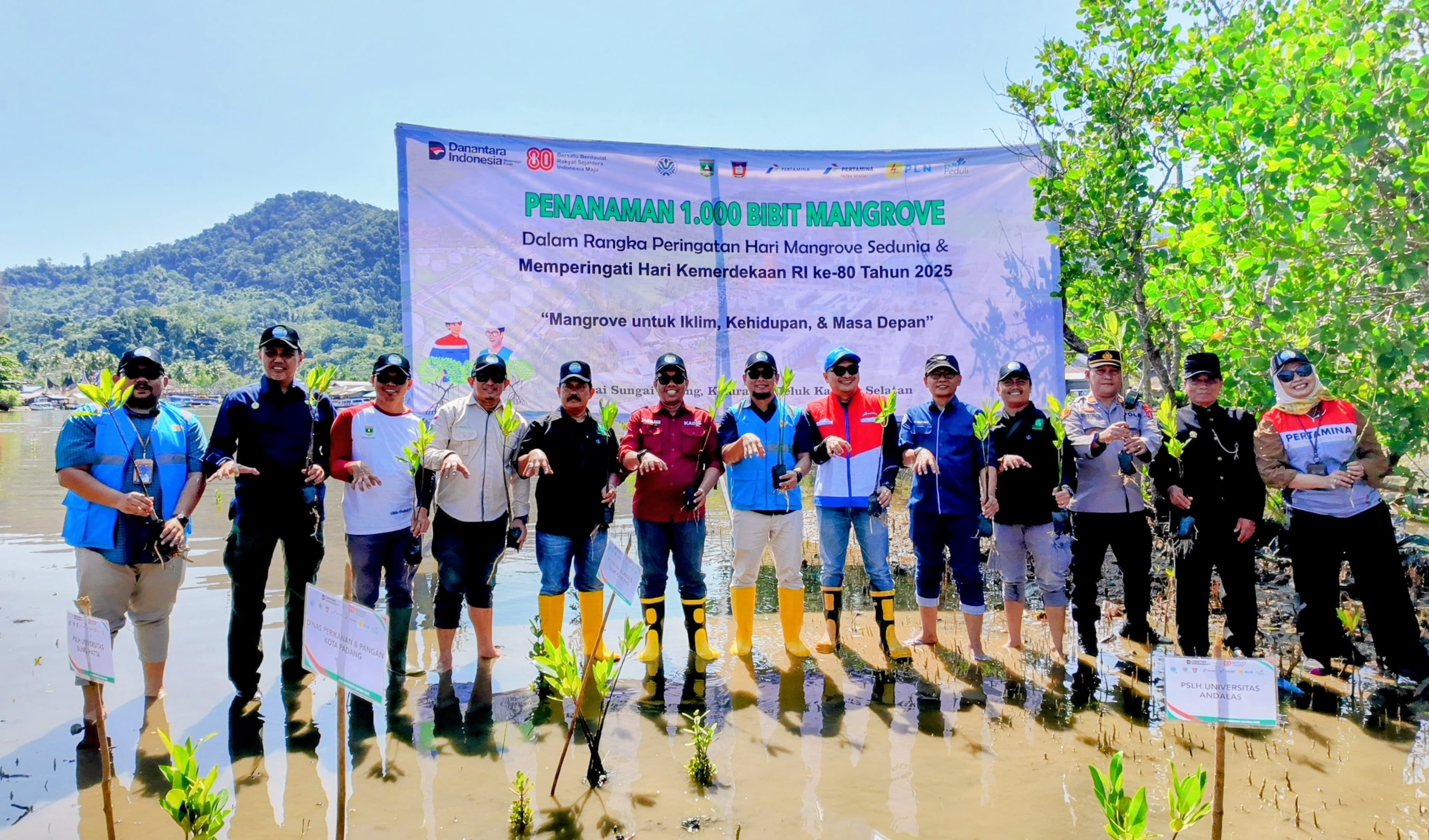 SINERGI: Penanaman 1.000 bibit mangrove di Pantai Sungai Pisang dihadiri oleh Manager PLN IP UBP Teluk Sirih, Lufti Nul Hakim, Sabtu (9/8).(PLN FOR PADEK)