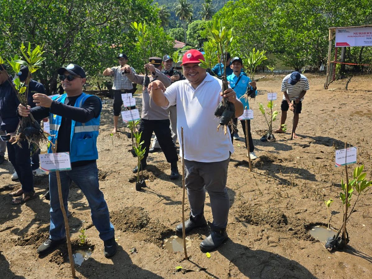 PT Semen Padang ambil bagian tanam 1.000 mangrove di Sungai Pisang, dukung pelestarian pesisir Sumbar, peringati Hari Mangrove Sedunia.