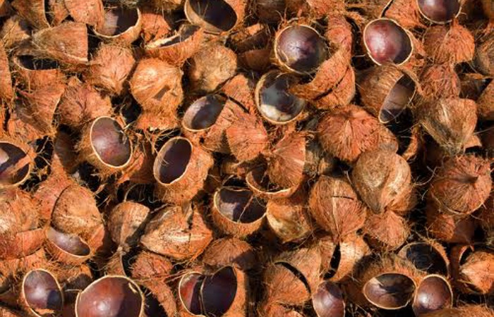 Batok kelapa di Solok Selatan kini bernilai ekonomi. Dari limbah jadi berkah, tampuruang dimanfaatkan untuk briket, kerajinan.