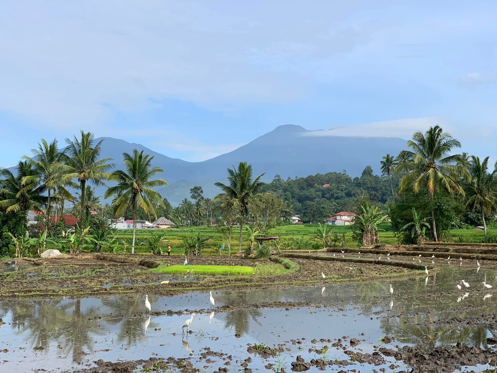 BPS Sumbar mencatat lonjakan kunjungan wisatawan Singapura ke Sumatera Barat sepanjang 2025. Gubernur Mahyeldi menyebut tren positif ini akan didorong dengan promosi pariwisata.