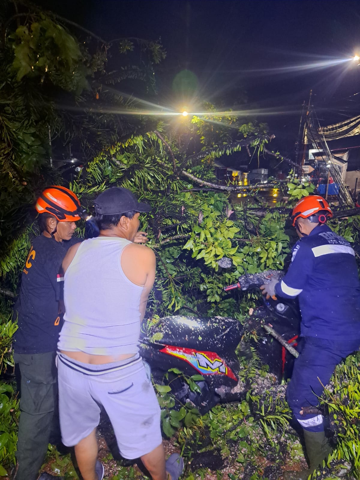 Tim BPBD Kota Padang saat menangani pohon tumbang di Jalan Patenggangan, Kelurahan Airtawar Barat, Kecamatan Padang Utara, Selasa (23/9/2025).