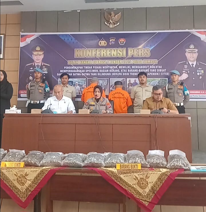 Polda Sumbar bongkar perdagangan ilegal sisik trenggiling 24,2 kg di Padang, dua pria ditangkap, kerugian ekologi besar, terancam hukuman 15 tahun.