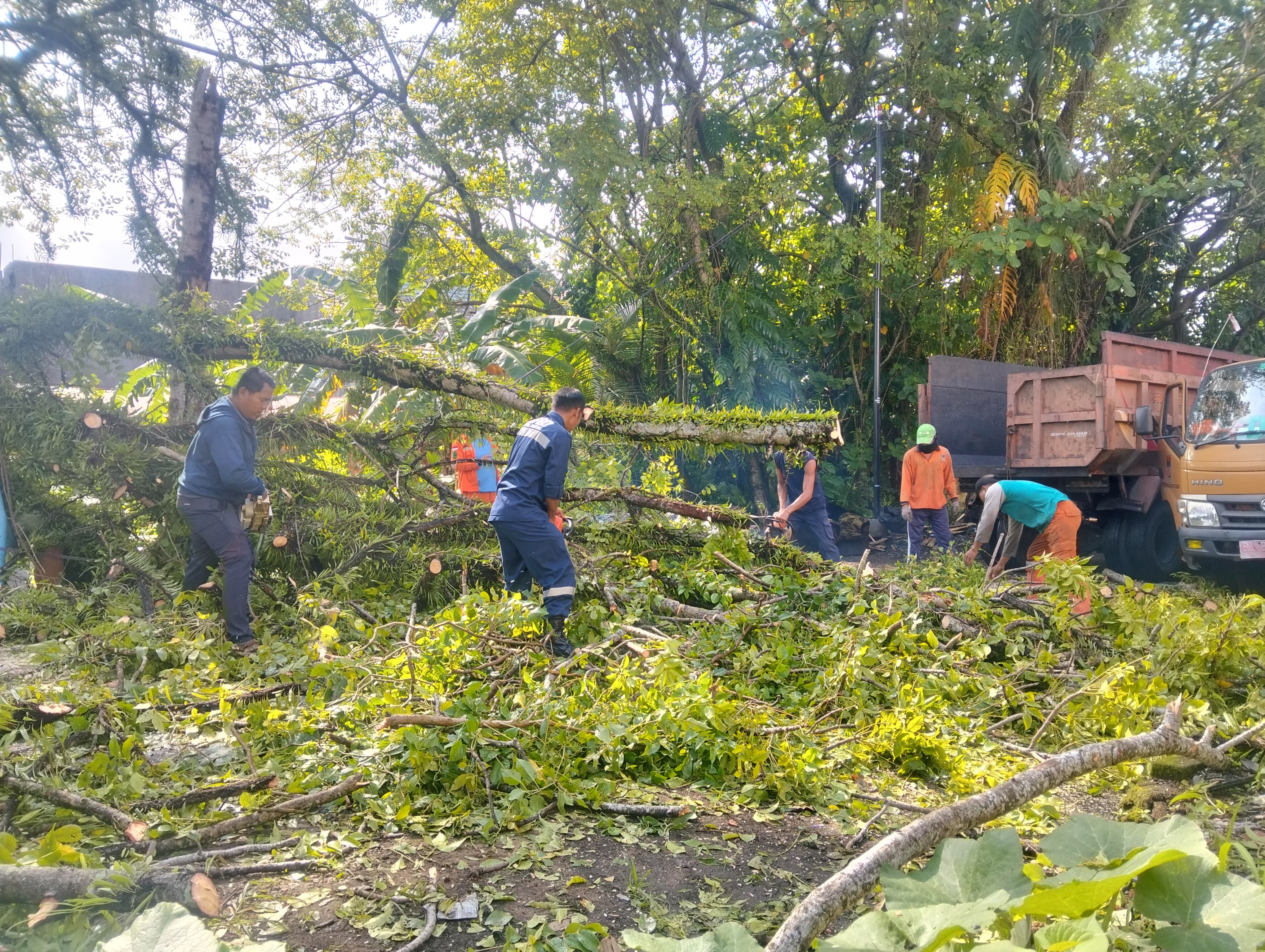 petugas BPBD Kota Padang saat melakukan pembersihan material pohon tumbang di salah satu lokasi di Kota Padang, beberapa waktu lalu.