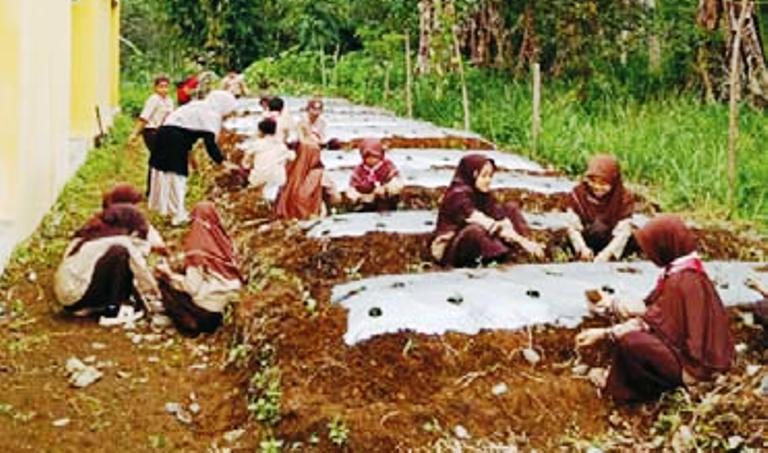Siswa kelas 5 UPT SDN 11 Lawang Mandahiling belajar bercocok tanam dengan mengangkat tema menjaga lingkungan sekitar.