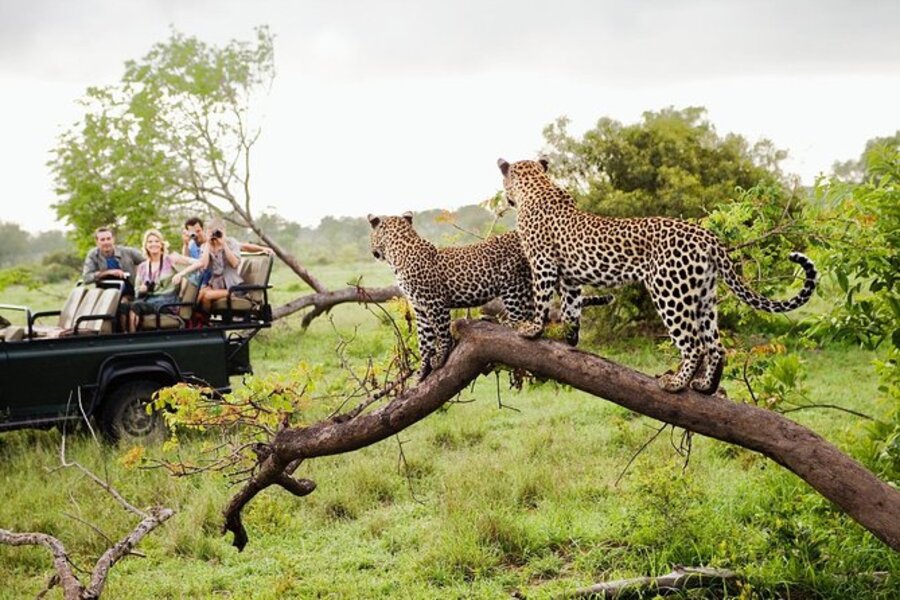 Safari in Yala National Park di Sri Lanka. (Foto Tripadvisor)