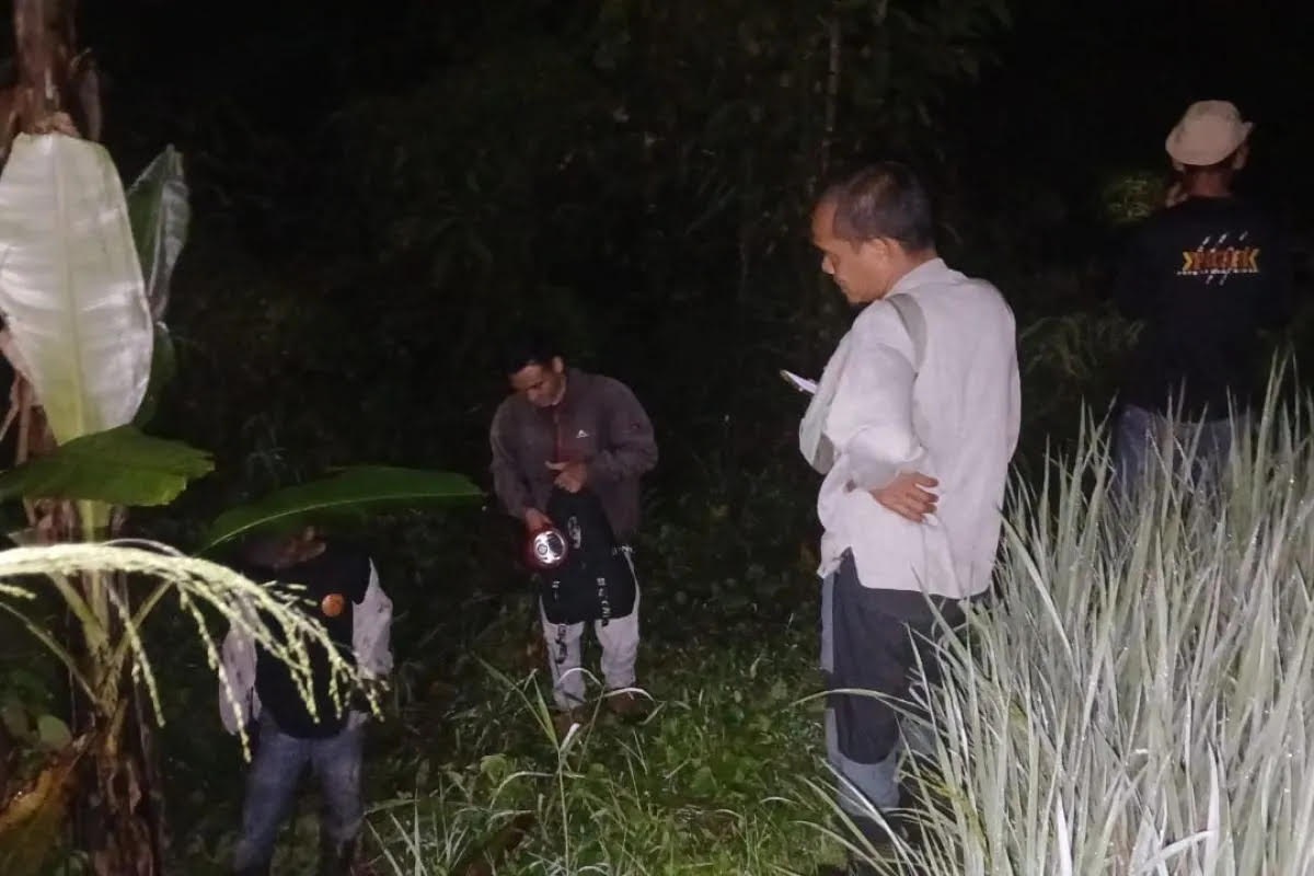 KONFLIK SATWA: Tim BKSDA Sumbar sedang melakukan patroli pada malam hari di lokasi kemunculan harimau sumatera di Muaro Batugadang, Palupuah, Minggu (12/10).