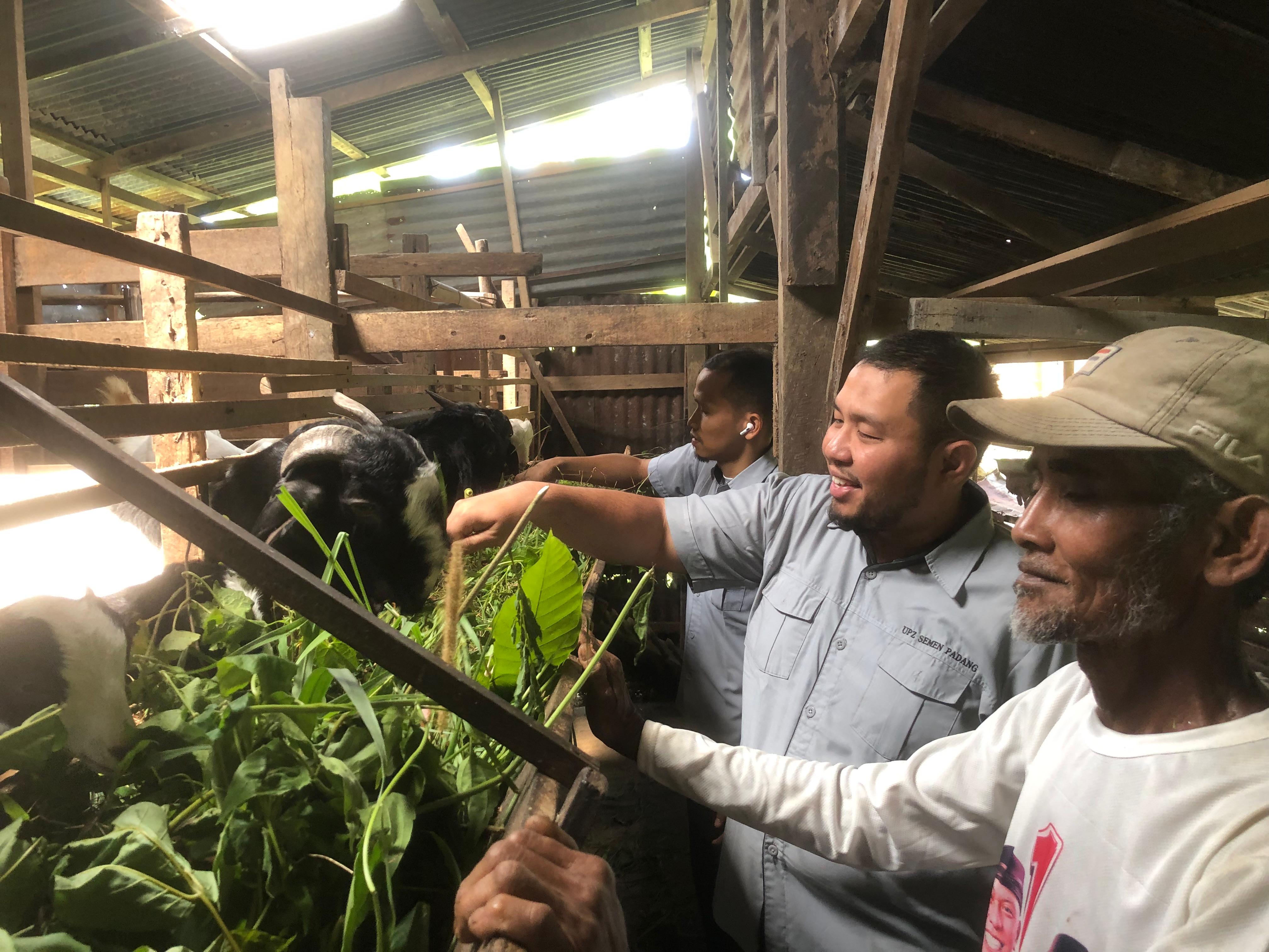Program UPZ Baznas Semen Padang sukses bantu warga Indarung kembangkan peternakan kambing etawa, hasilkan manfaat ekonomi berkelanjutan.