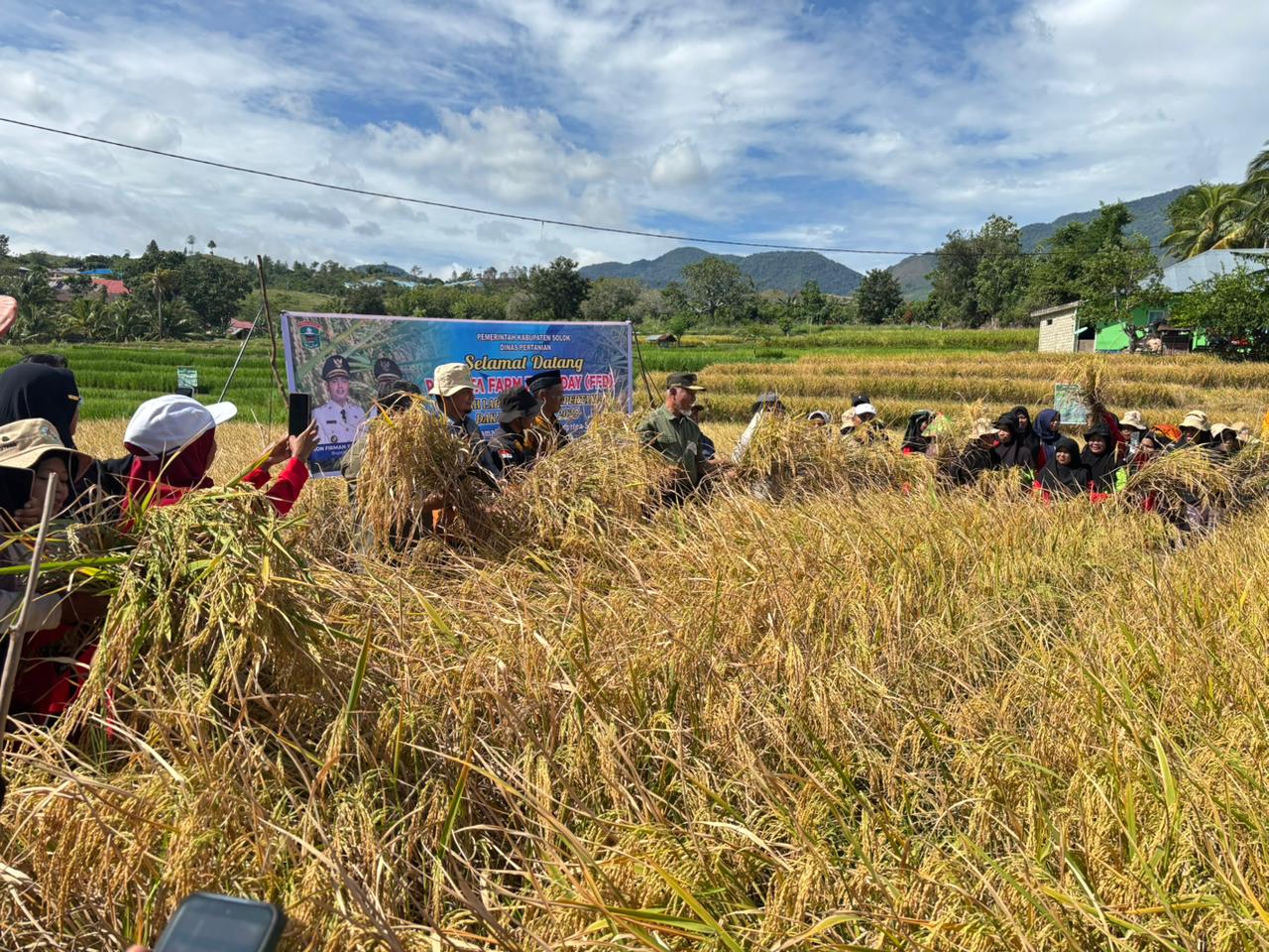 Panen raya program &ldquo;Panen Padi Sawah Pokok Murah Sekolah Lapangan Tematik&rdquo; di Kecamatan Junjung Sirih, Kabupaten Solok, Minggu (26/10/2025).