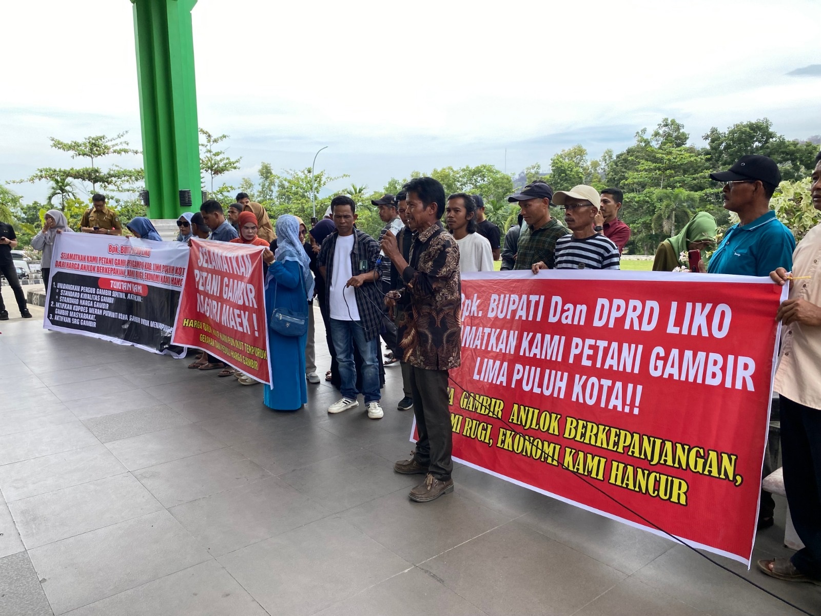 SAMPAIKAN ASPIRASI: Puluhan petani dan pelaku usaha gambir melakukan aksi demonstrasi di Kantor Bupati Limapuluh Kota, Senin (27/10), menuntut stabilisasi harga dan penerbitan Perda Gambir.