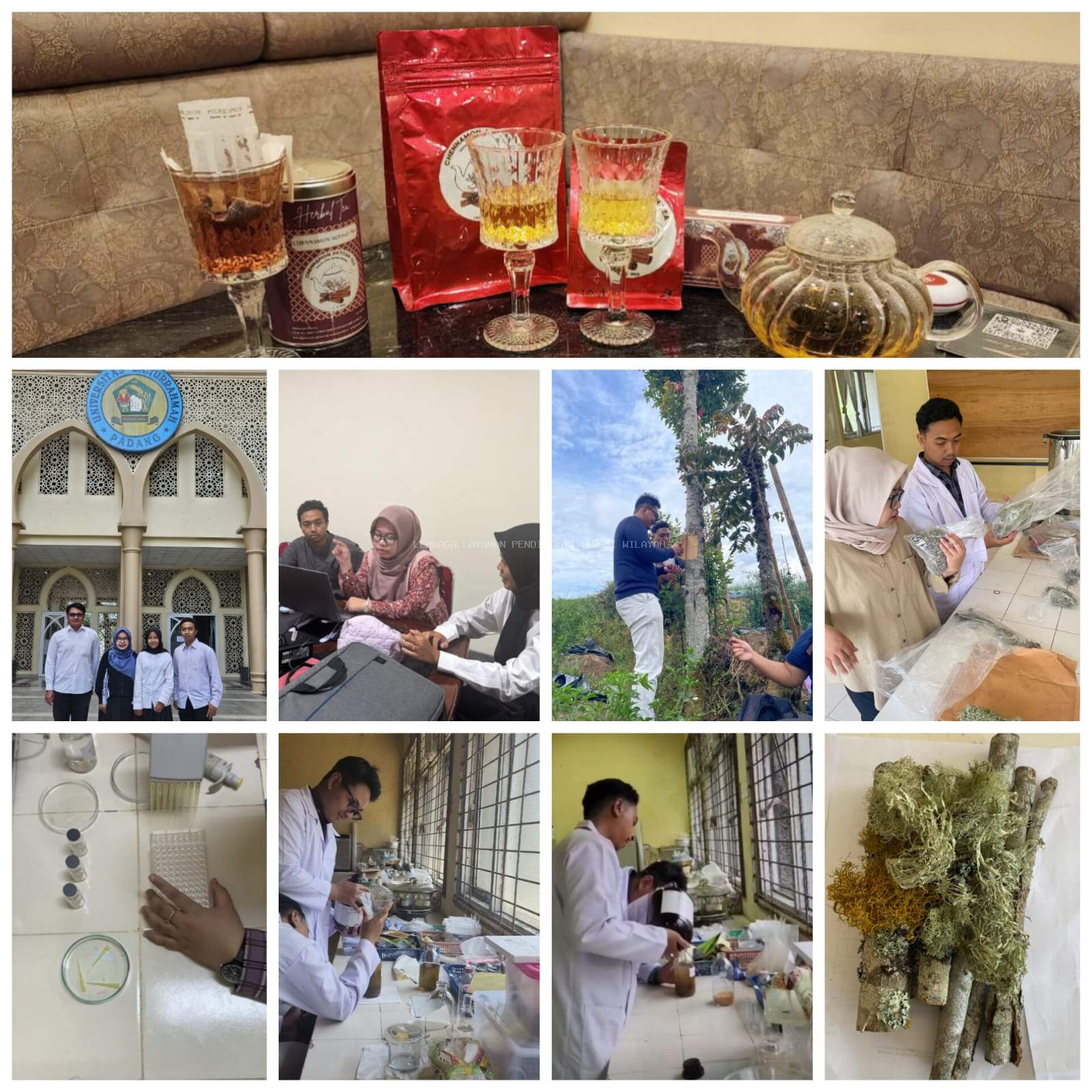 Inovasi Obat Herbal dari Lumut Kerak dan Kayu Manis oleh Mahasiswa Universitas Baiturrahmah