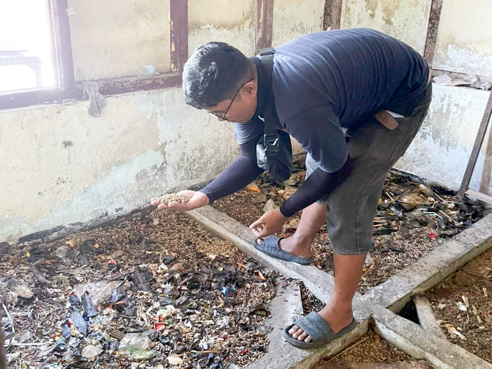 Budidaya magot di Kelurahan Parupuk Tabing, Padang, menjadi solusi efektif mengurai sampah organik sekaligus membuka peluang ekonomi bagi masyarakat. (Foto: M. Fikri Alfateh/padeks)