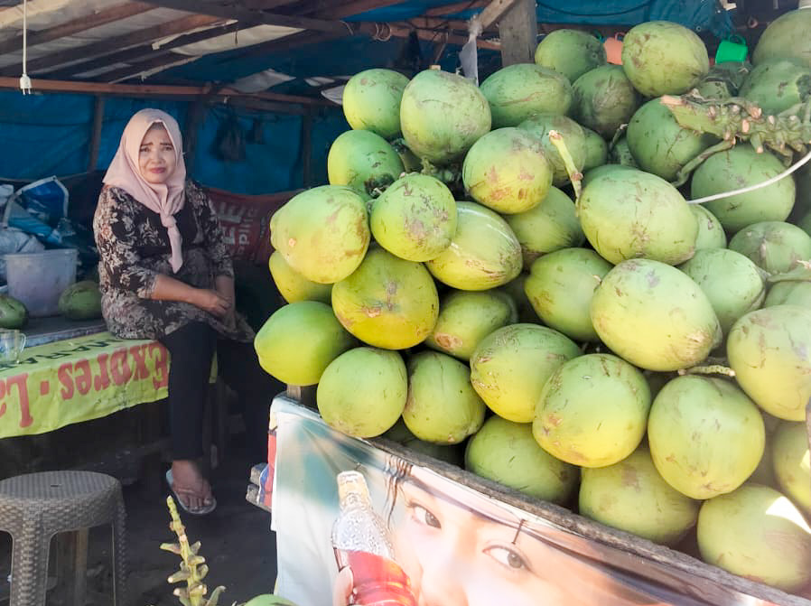 Tumpukan kelapa muda siap dibuka, menjadi daya tarik khas bagi wisatawan di Taplau Padang. (Foto: Alfateh/Padeks)
