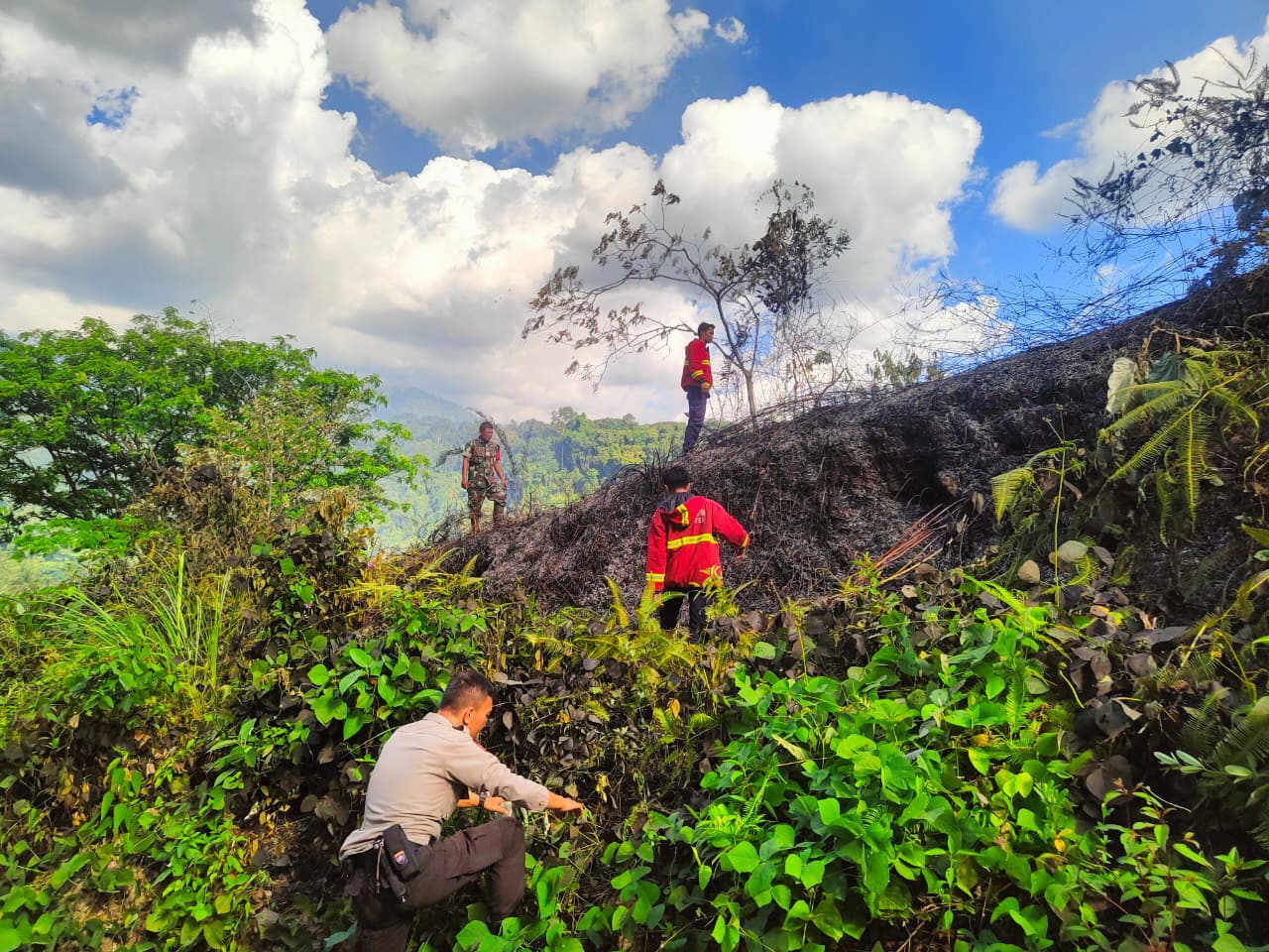 Petugas Dinas Damkar Kota Padang saat memadamkan api yang membakar lahan di Batubusuk, Lambungbukit, kemarin.