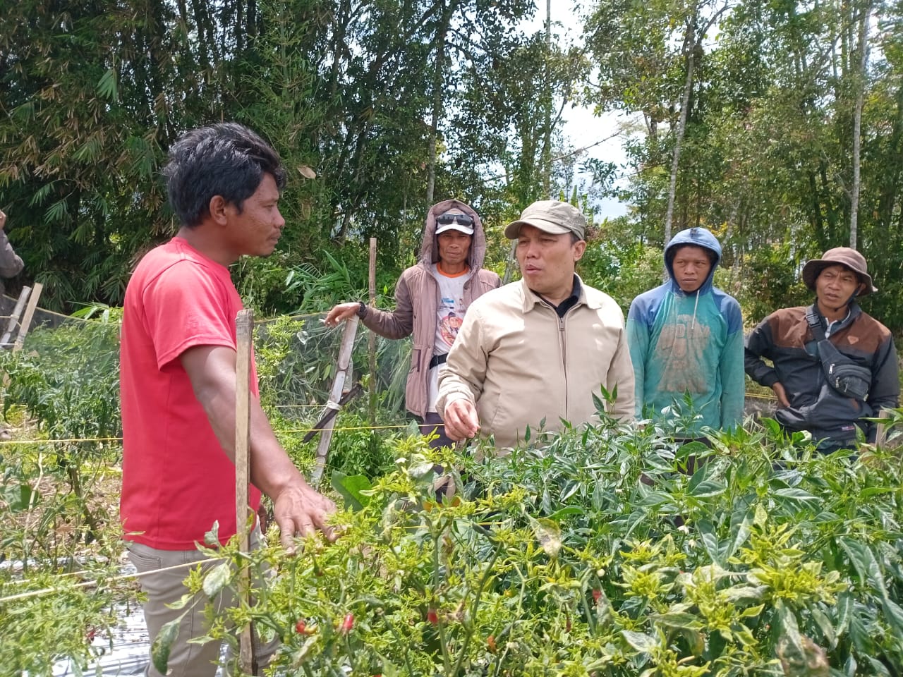 BERI DUKUNGAN: Kepala Tim Implementasi KEKDA Kantor Perwakilan Bank Indonesia Provinsi Sumbar Lukman Hakim di Jorong XII kampuang, Kecamatan, Canduang Koto Laweh, Kecamatan Candung, Kabupaten Agam.