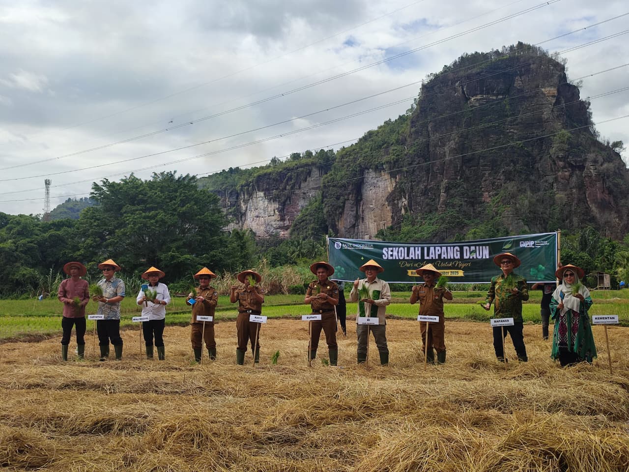 Kepala Perwakilan BI Sumbar, Mohamad Abdul Majid Ikram, Kadis Perkebunan Tanaman Pangan dan Holtikultura Sumbar, Afniwirman dan pejabat lainnya dalam kegiatan sekolah lapang.