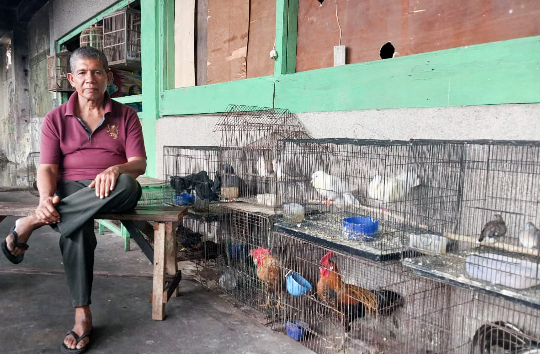 Pak Mon, penjual burung di Padang Teater, bertahan menjaga warisan pasar burung legendaris Padang di tengah sepinya pembeli. (Foto: Mengki Kurniawan/Padeks)