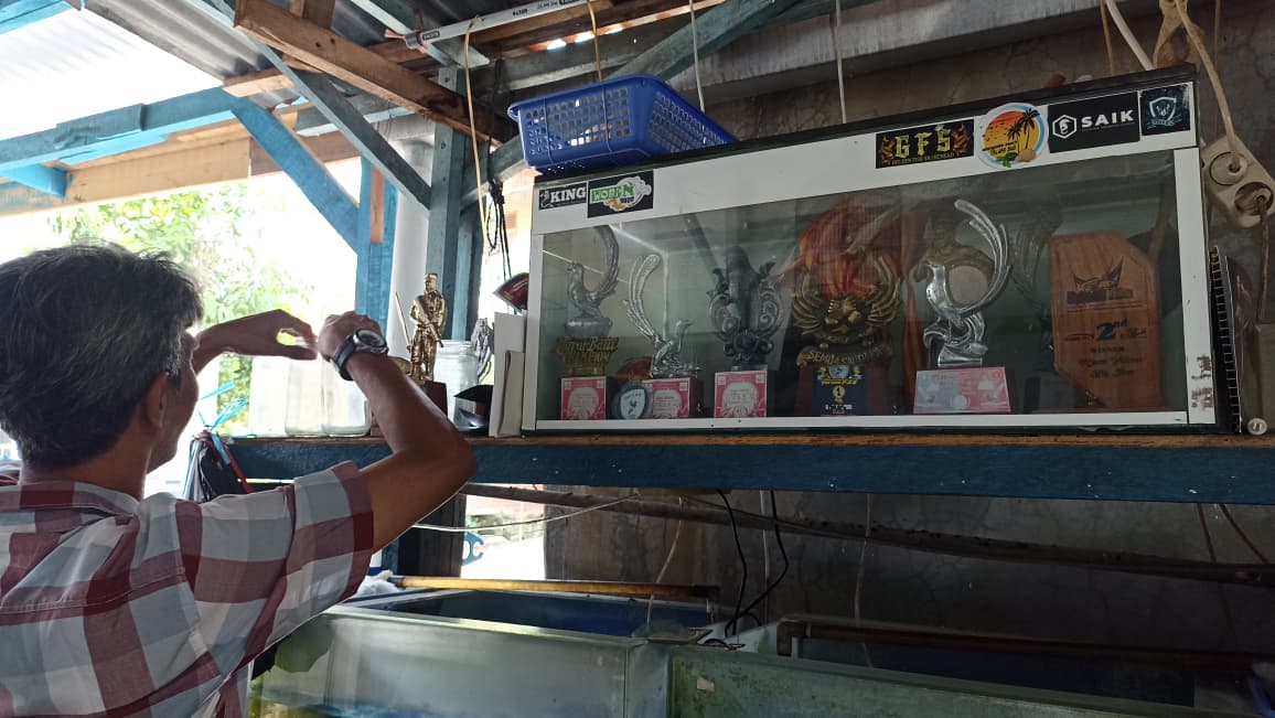 Firman, penghobi burung sejak 1987, tetap tekun merawat 15 burung kicau dan meraih prestasi di berbagai lomba bergengsi tingkat daerah hingga nasional. Beberapa piala kemenangan burung berkicau.