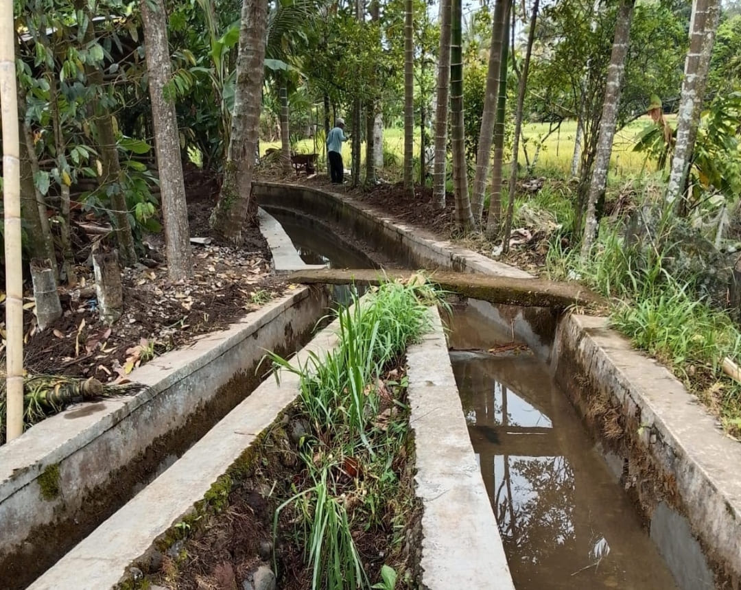 Salah satu Inpres Irigasi di Kabupaten Limapuluh Kota. (Foto: Fajar RV)