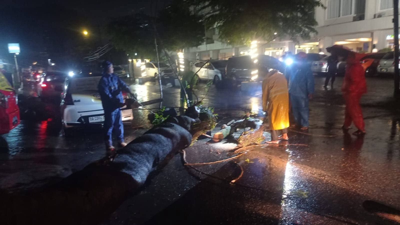 Petugas mengevakuasi pohon tumbang di salah satu lokasi di Kota Padang, Minggu (23/11/2025) malam.