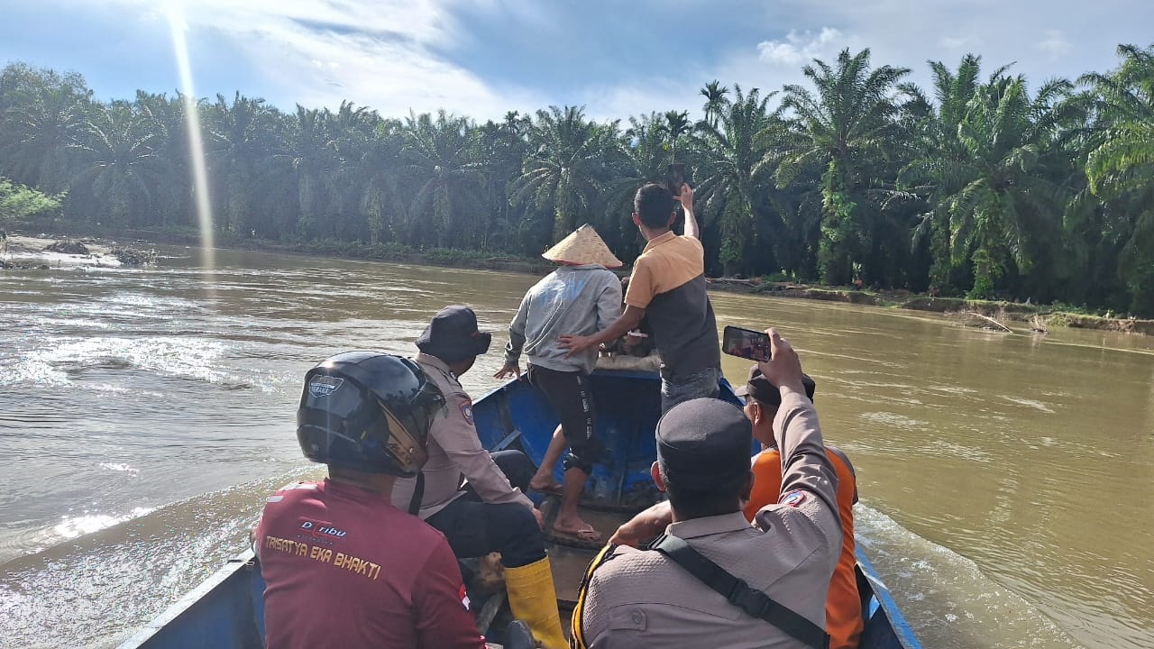 Tim SAR menyusuri Sungai Lubuk Kubang Alahan Kasai mencari warga yang hanyut, namun hingga Minggu (30/11) hasil pencarian masih nihil.