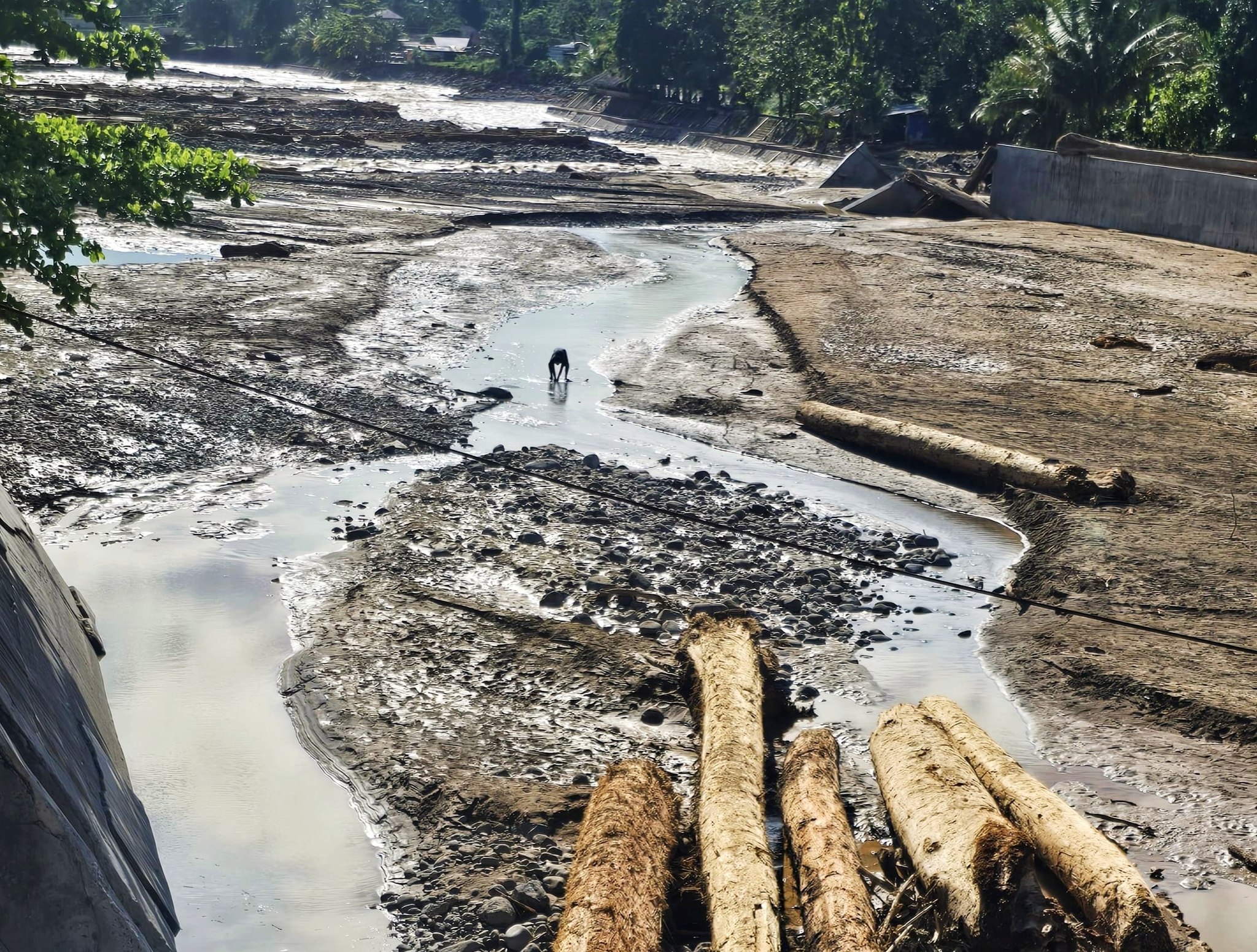 Ribuan hektare sawah di Kota Padang terancam kekeringan akibat banjir bandang pada Jumat (28/11/2025) lalu.
