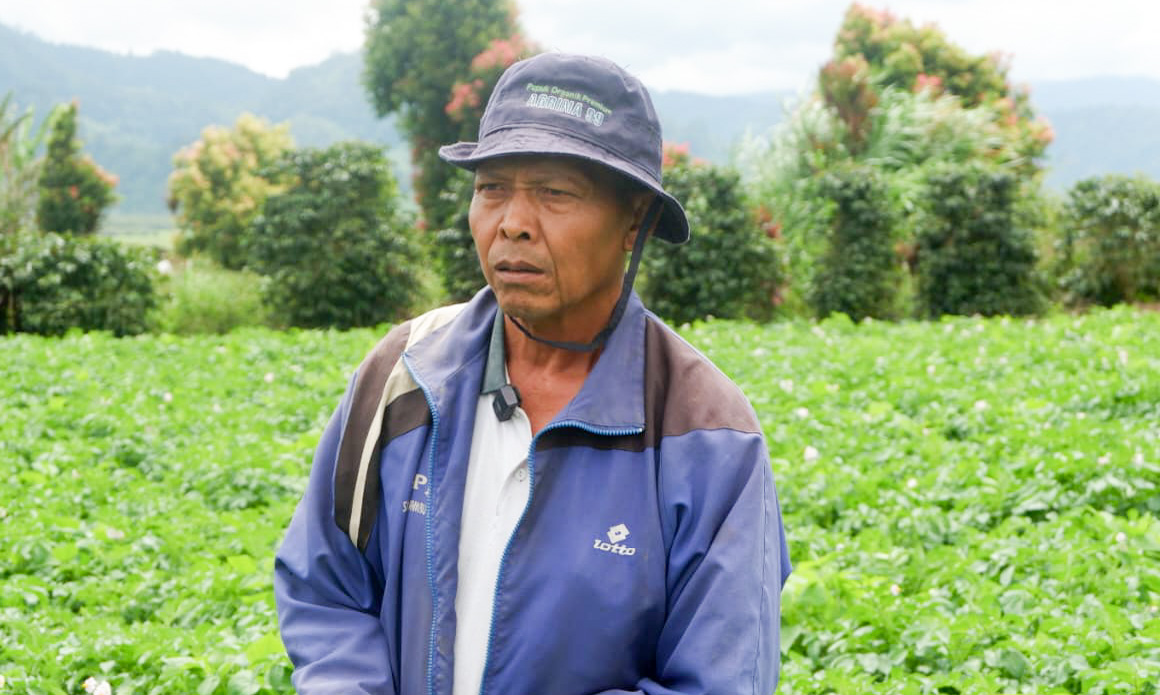 Petani Kerinci Siyam Januri (61) keluhkan harga anjlok dan biaya produksi tinggi, desak reformasi tata niaga dan koperasi guna stabilkan pendapatan serta harga komoditas lokal. (Foto: Mengki/Padeks)