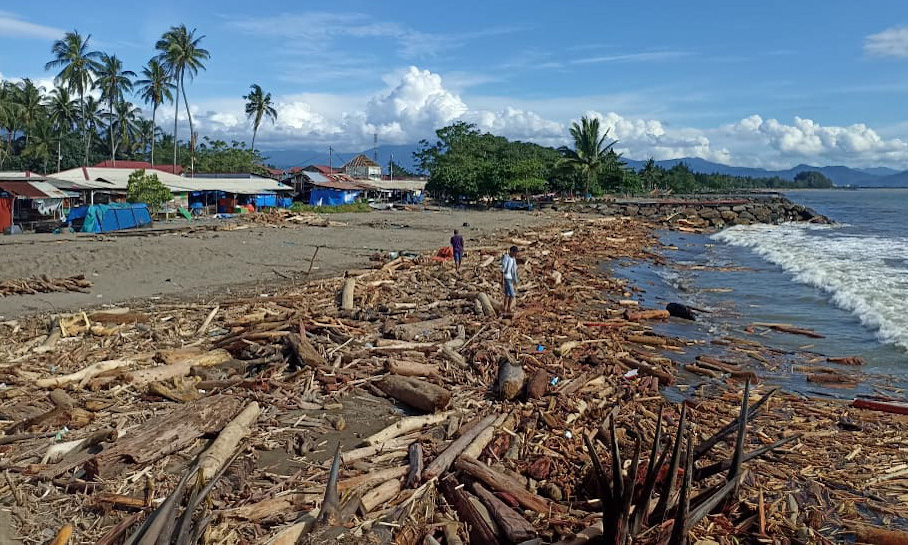 Pascabanjir bandang di Kota Padang menghasilkan berkubik-kubik kayu dari berbagai hulu sungai yang terdampar di sepanjang pantai.