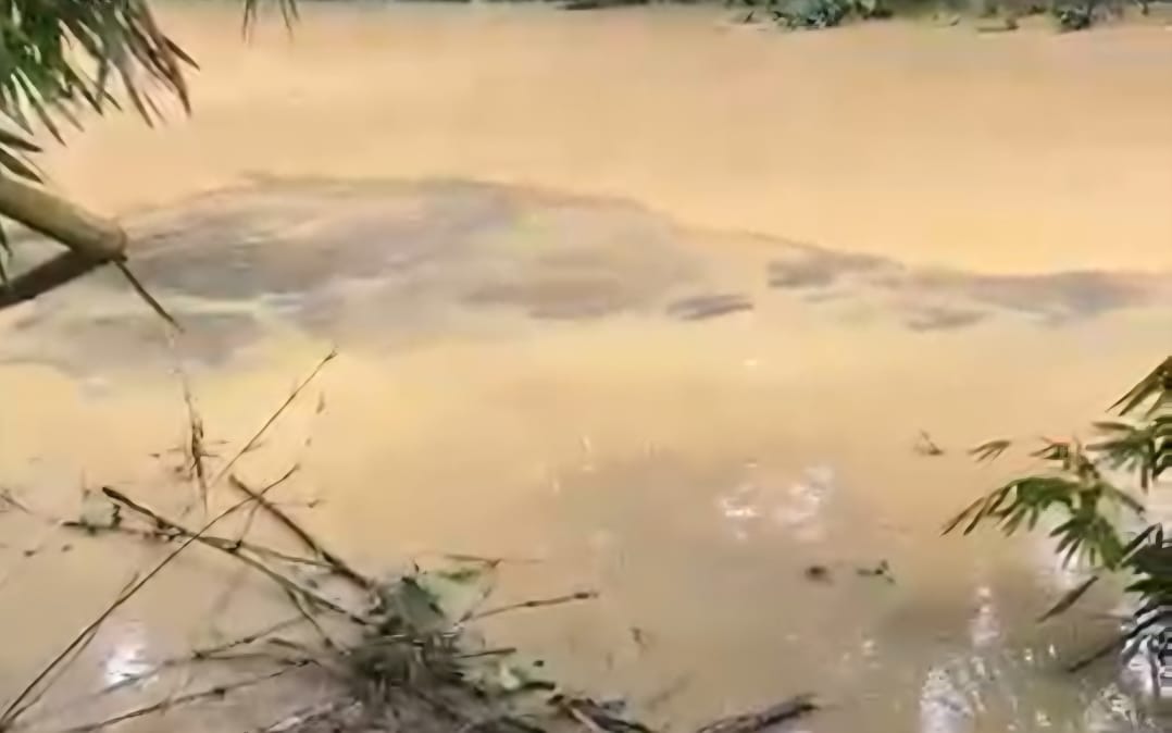 DLH Dharmasraya selidiki dugaan pencemaran Sungai Koto Balai setelah air berubah hitam dan berbau menyengat, warga keluhkan dampak dan perusahaan beri klarifikasi.