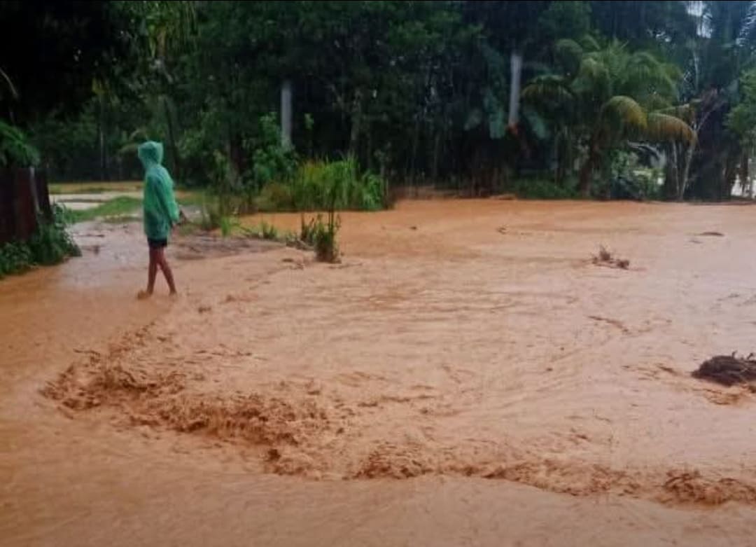 Sejumlah Daerah Aliran Sungai (DAS) di Sumatera mengalami perubahan akibat banjir bandang. Karena itu, pemerintah segera revitalisasi untuk menekan risiko bencana di kemudian hari.(Foto: Kominfo)